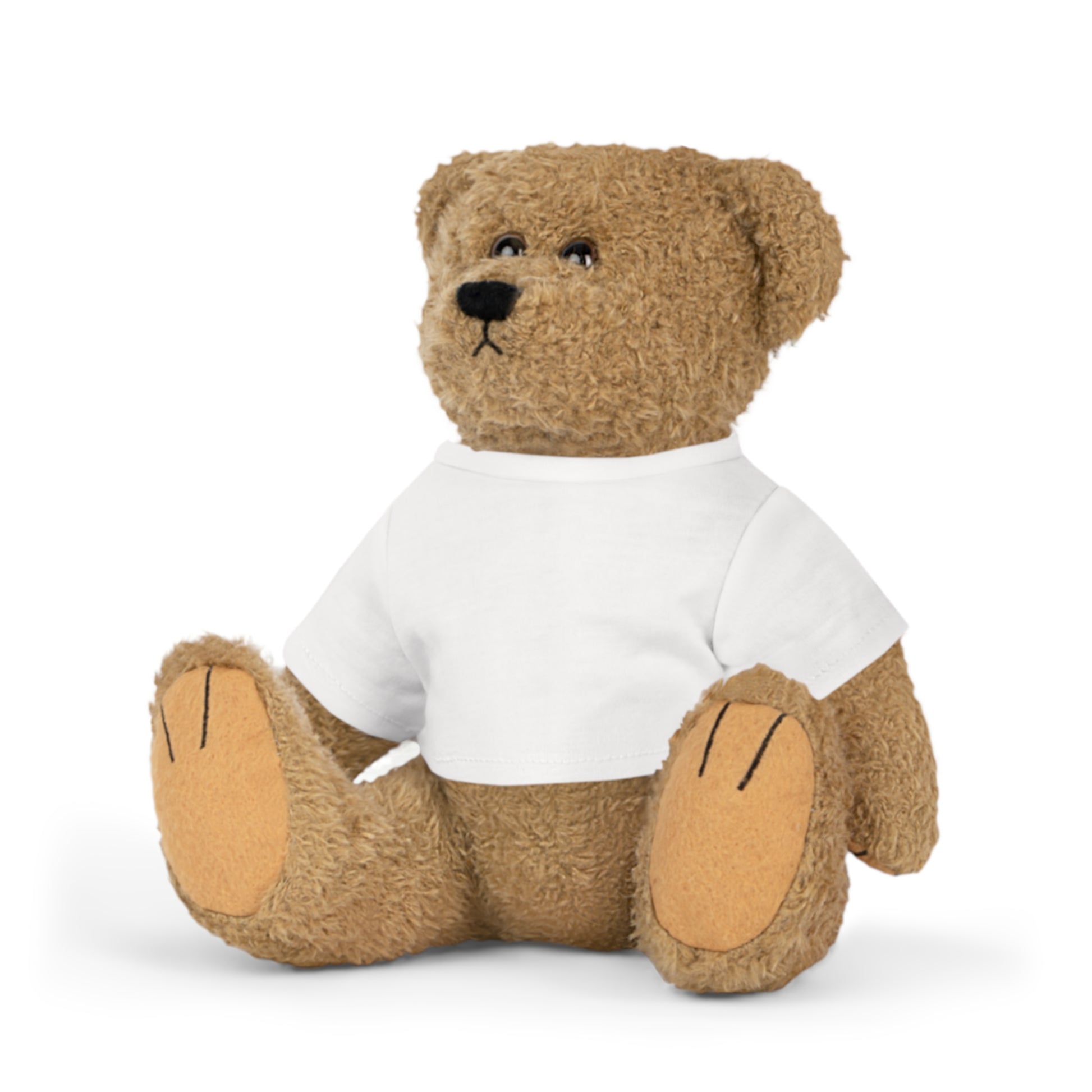  Personalisierter Teddy mit bedrucktem T-Shirt, individuelles Plüschtier