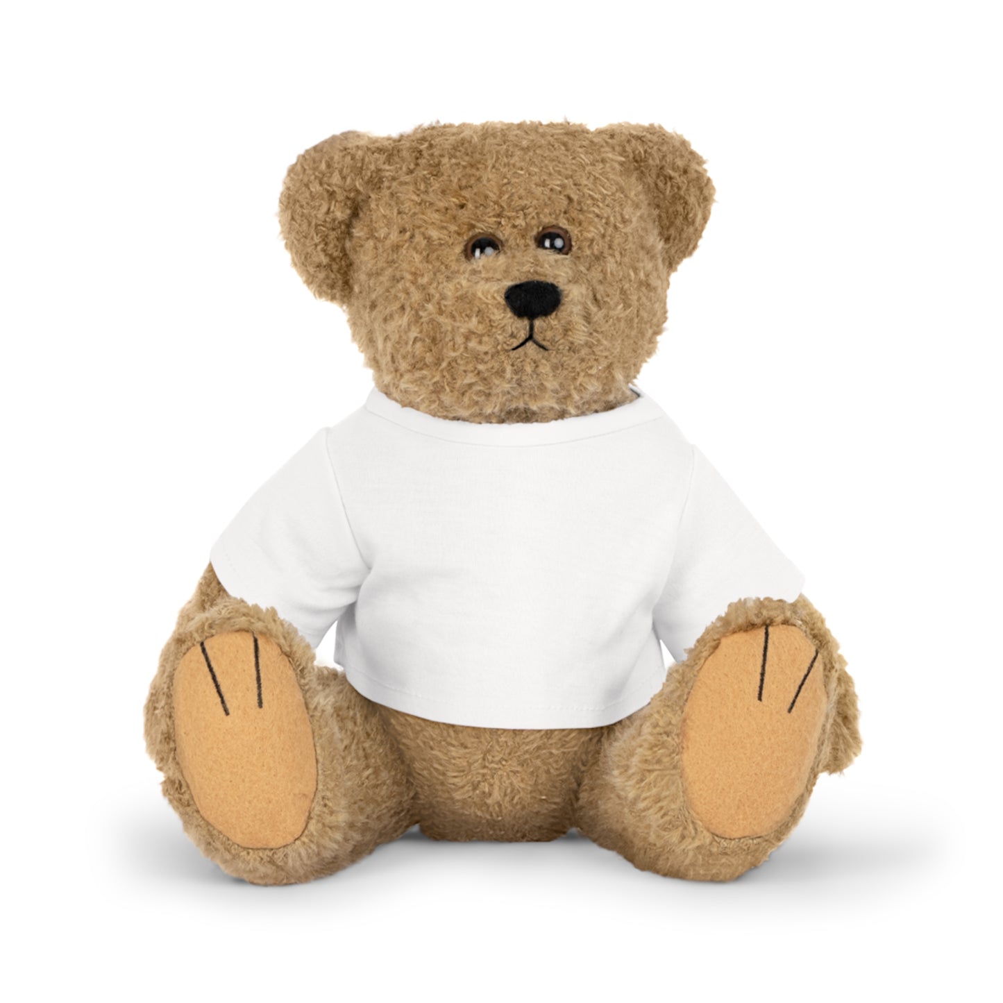 Plüschtier Teddybär mit personalisiertem T-Shirt, Geschenk mit Foto 