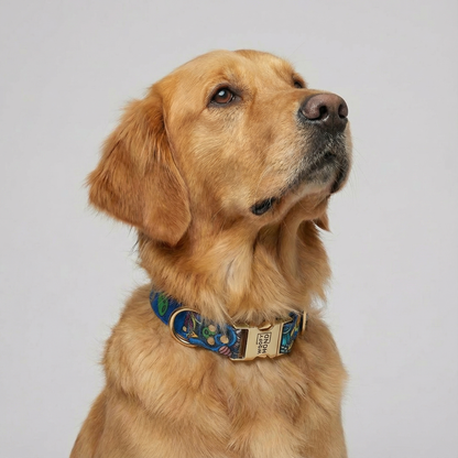 Hundehalsband Galaxy XS-L – Premium Polyester mit Gold – Details
