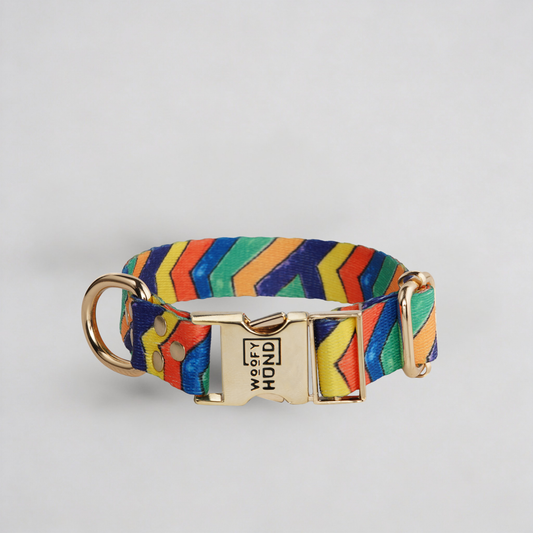 hundehalsband Festival mit Goldmetall-Accessoires - Schnelltrocknend Polyester

