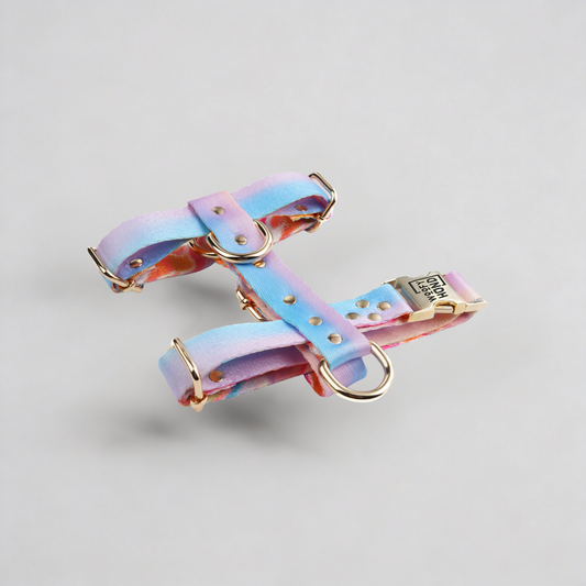 Hundegeschirr Aurora mit Goldmetall-Accessoires - Schnelltrocknend Polyester
