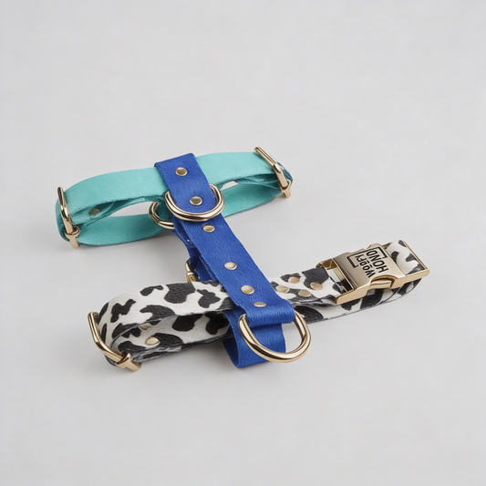  Blueberry Hundegeschirr in blau und lila mit goldenen Metallbeschlägen - Premium Hundezubehör von MKM Conceptstore

