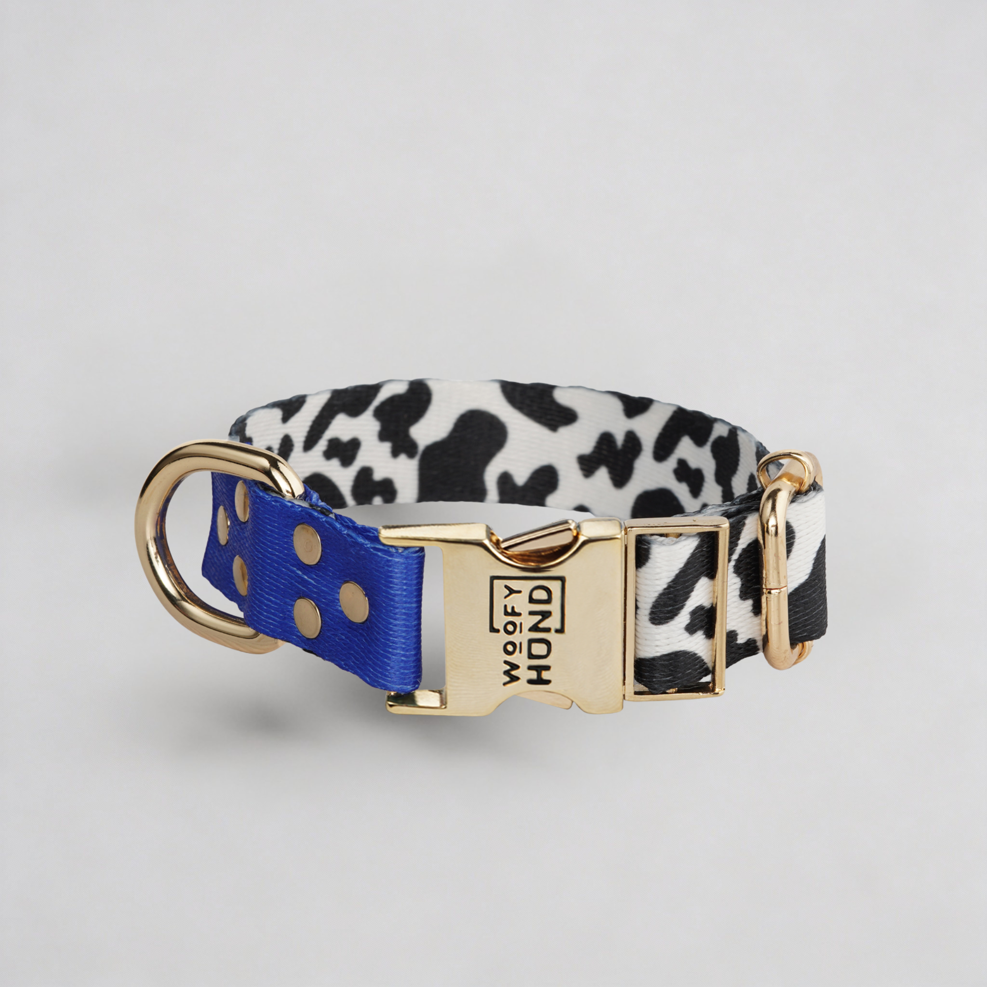 Blueberry Hundehalsband in blau und lila mit goldenen Metallbeschlägen - Premium Hundezubehör von MKM Conceptstore
