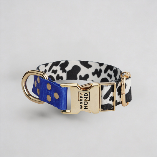 Blueberry Hundehalsband in blau und lila mit goldenen Metallbeschlägen - Premium Hundezubehör von MKM Conceptstore