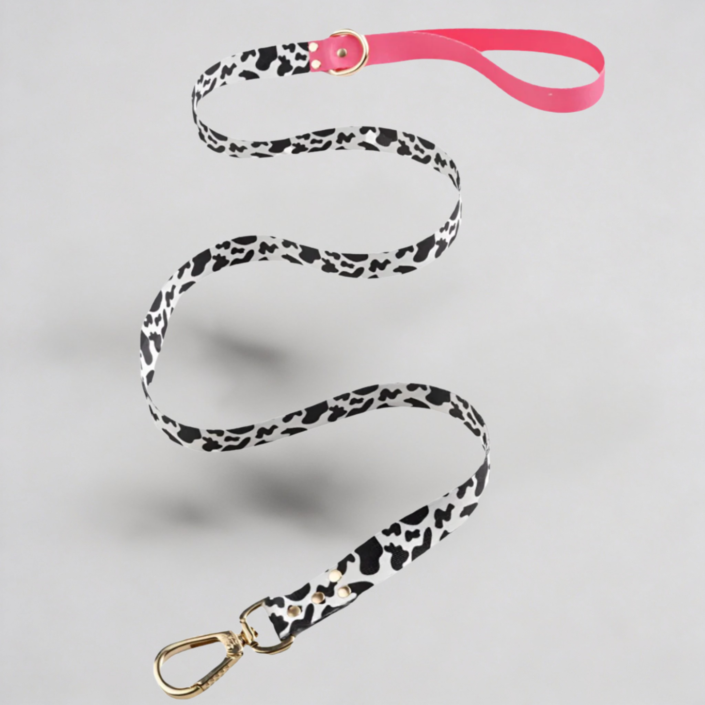 Bild 2: Hundeleine CandyMix 1,1m - Leichte Premium-Leine mit Gold-Details

