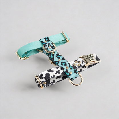 Aqua-Camo Hundegeschirr in türkis mit Camouflage-Muster und goldenen Metallbeschlägen - Premium Hundezubehör von MKM Conceptstore

