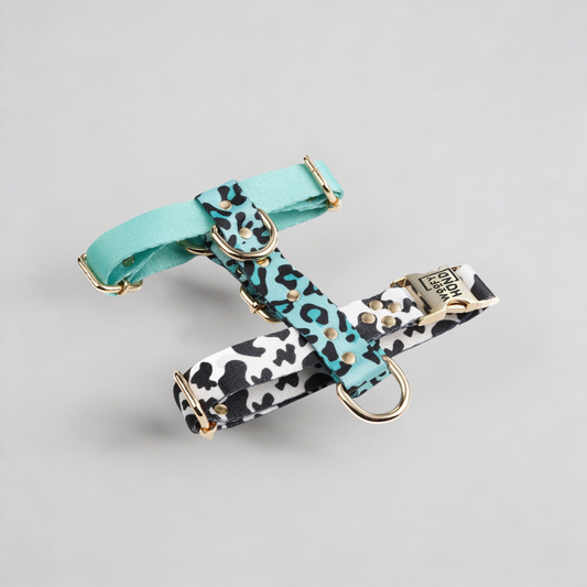 Aqua-Camo Hundegeschirr in türkis mit Camouflage-Muster und goldenen Metallbeschlägen - Premium Hundezubehör von MKM Conceptstore

