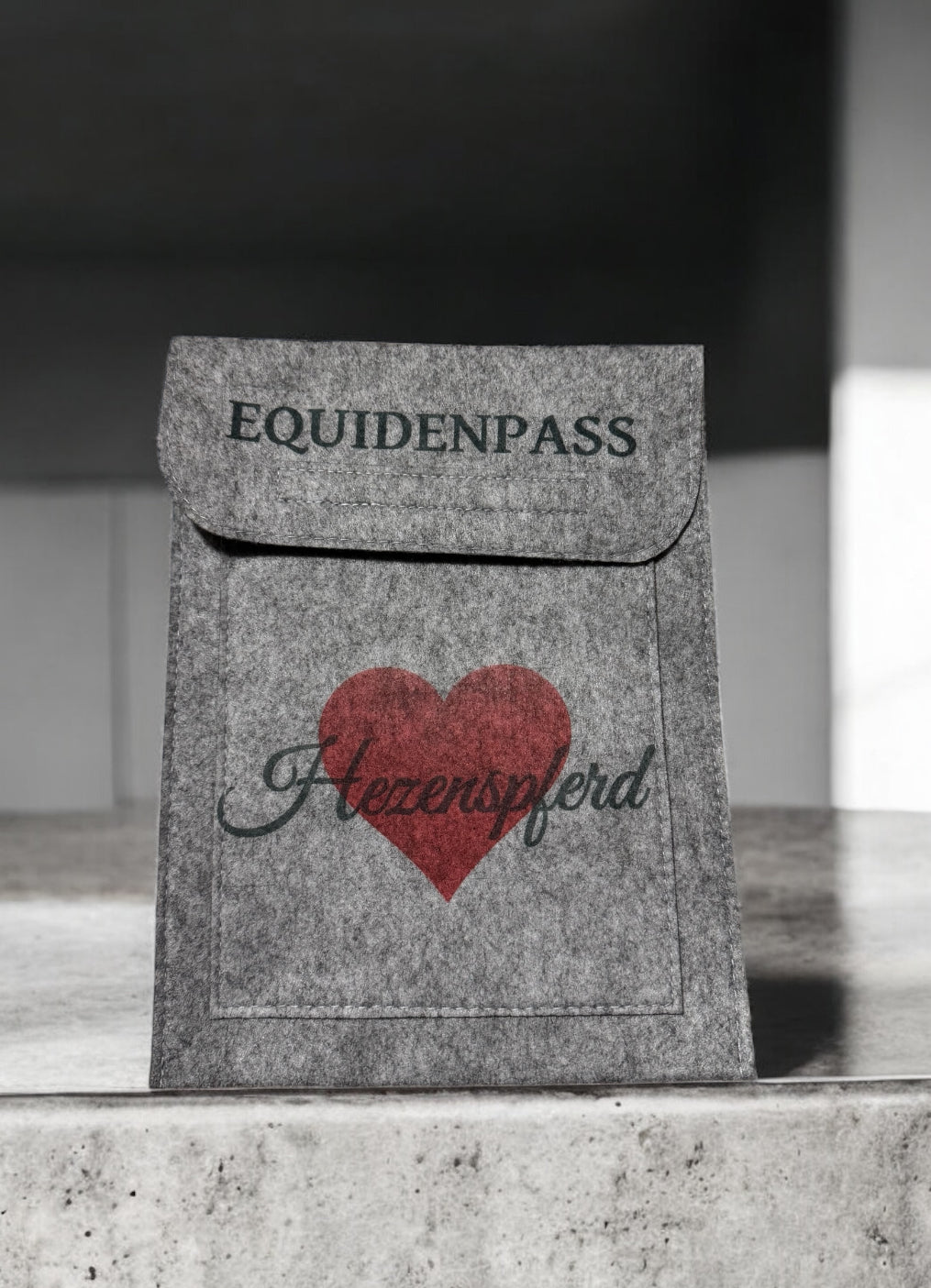Filztasche für Equidenpass