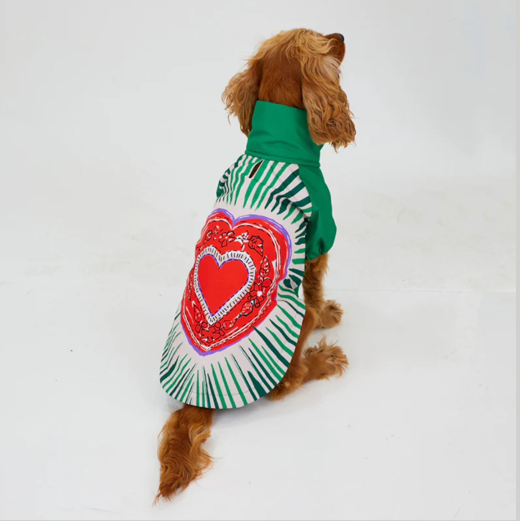 LoveShield Regenjacke für Hunde - Wasserdichte Hundejacke mit warmem Innenfutter