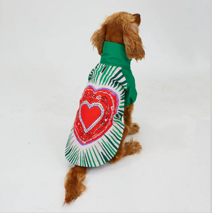 LoveShield Regenjacke für Hunde - Wasserdichte Hundejacke mit warmem Innenfutter