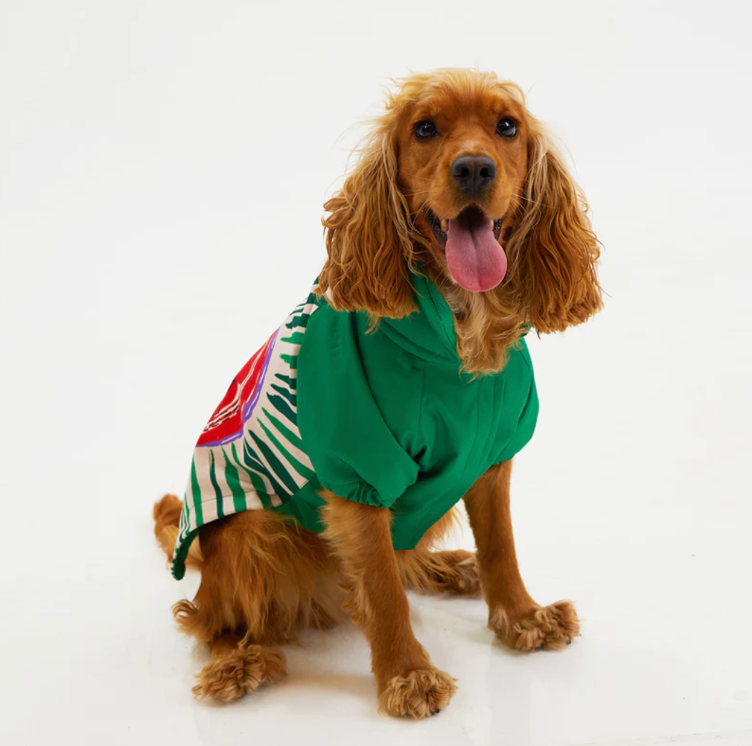 Hund mit LoveShield Regenjacke – Optimaler

