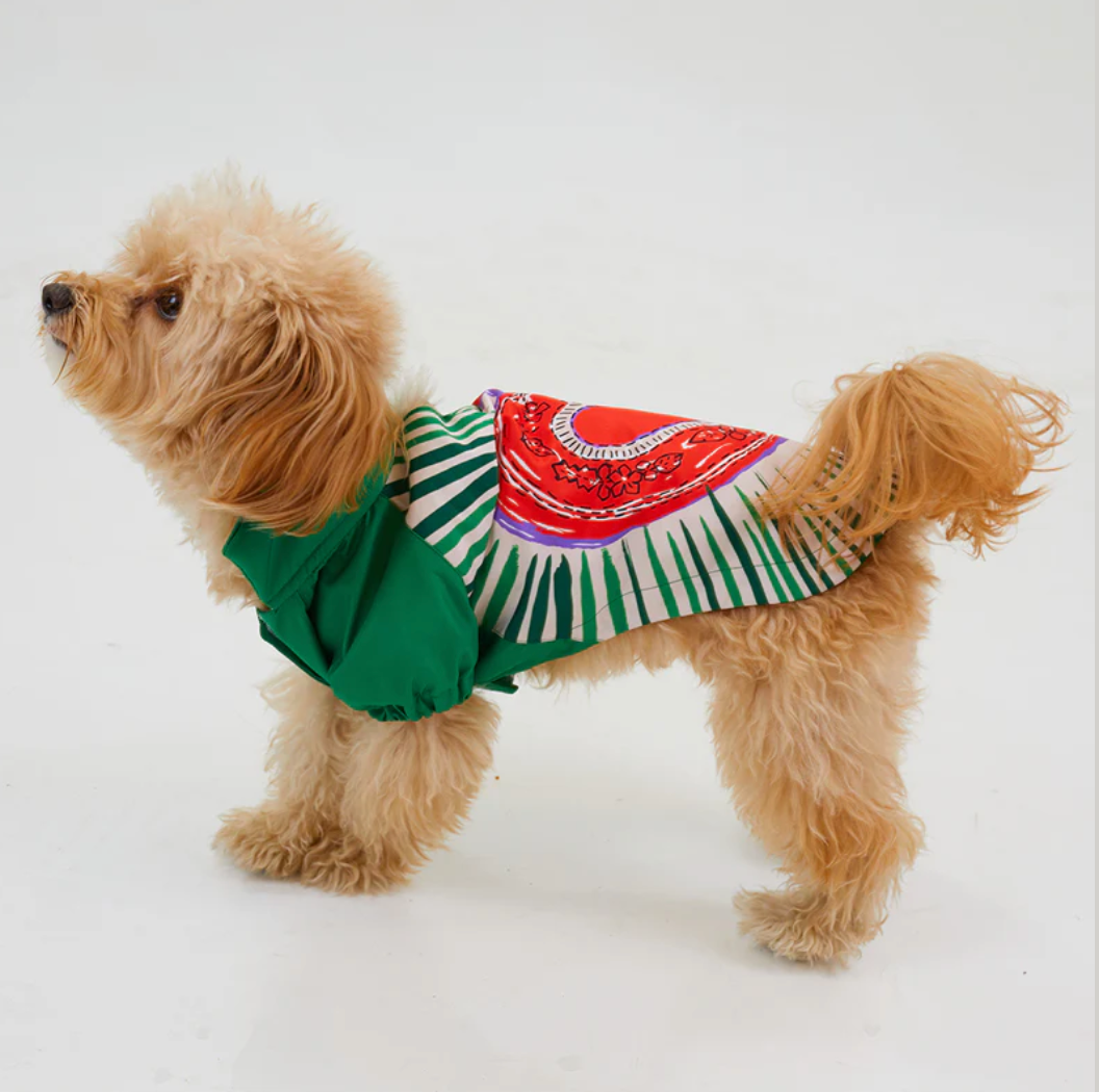  LoveShield Regenjacke Hund - Funktionale Hundebekleidung für jedes Wetter
