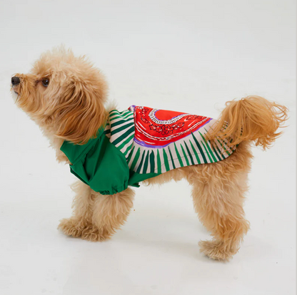  LoveShield Regenjacke Hund - Funktionale Hundebekleidung für jedes Wetter