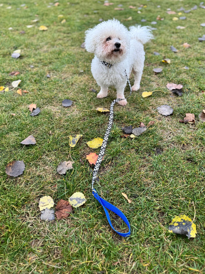 Schnelltrocknende Hundeleine Blueberry - Elegantes Design für aktive Hunde

