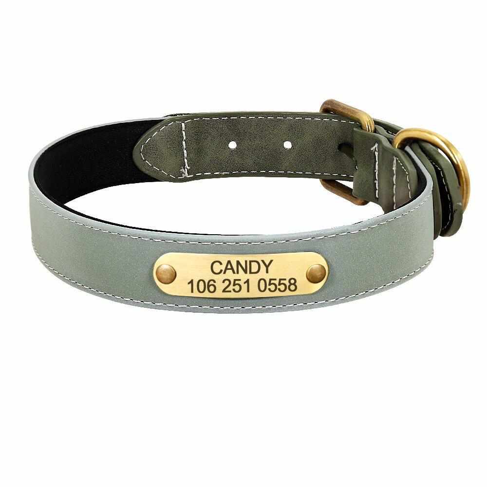 Hundehalsband mit Gravur – Reflektor & Namensschild