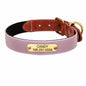 Hundehalsband mit Gravur – Reflektor & Namensschild