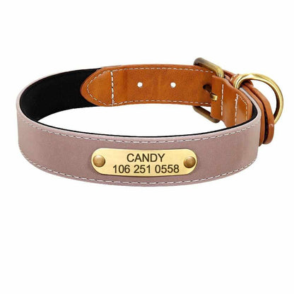 Hundehalsband mit Gravur – Reflektor & Namensschild