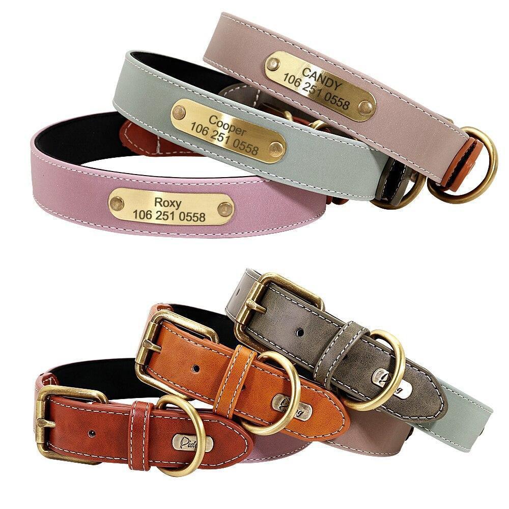 Hundehalsband mit Gravur Grün – reflektierend mit goldenem Namensschild

