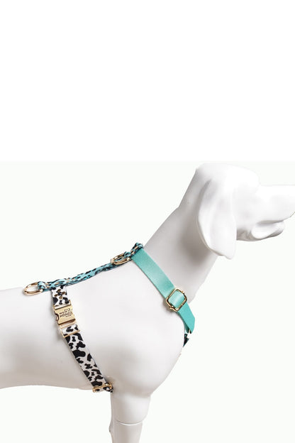 Aqua-Camo Hundegeschirr - Sportliches Design mit türkis-blauem Camouflage-Muster für aktive Hunde