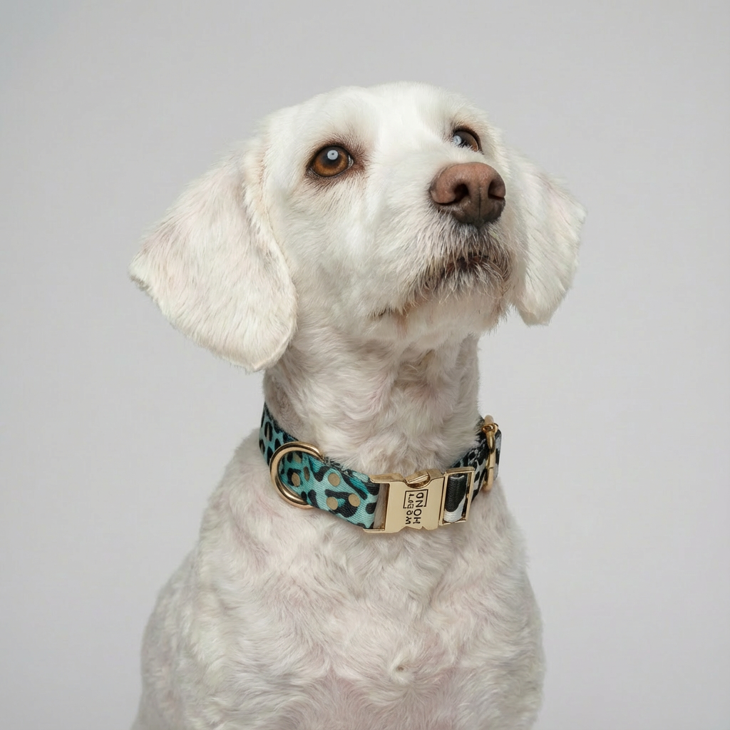 Hundehalsband Aqua Camo Detail – Premium hellgoldene Metallverschlüsse