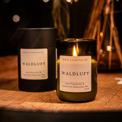Waldluft Duftkerze – Sojawachs Kerze mit Naturduft kaufen