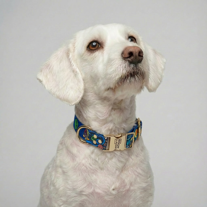 Schnelltrockndes Hundehalsband Galaxy - Komfortabel und langlebig