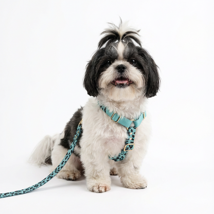 Aqua-Camo Geschirr - Detailansicht der hochwertigen Verarbeitung und verstellbaren Riemen mit goldenen Schnallen
