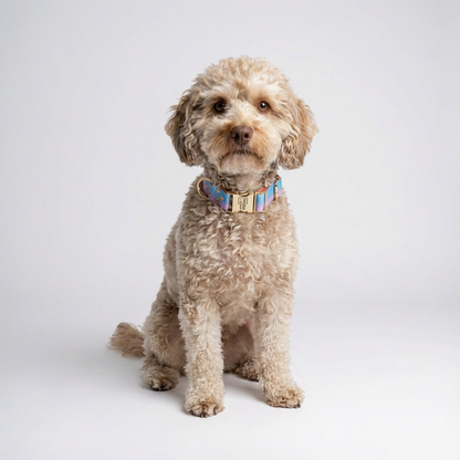  Aurora Halsband - Detailansicht der hochwertigen Verarbeitung mit magischem Farbverlauf und goldener Schnalle