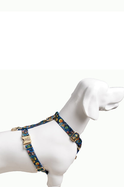 Galaxy Harness Hundegeschirr - Stylisches Produkt Geschirr