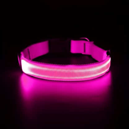 LED Hundehalsband Rosa leuchtend