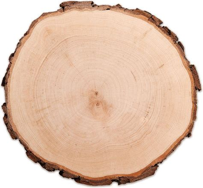 Baumscheibe Holz Gravierbar Text Logo Bild
