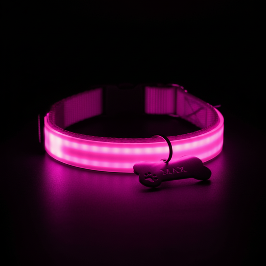 LED-Hundehalsband pink mit Hundemarke MAX